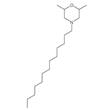 2,6-Dimethyl-4-tridecylmorpholine; CAS: 81412-43-3